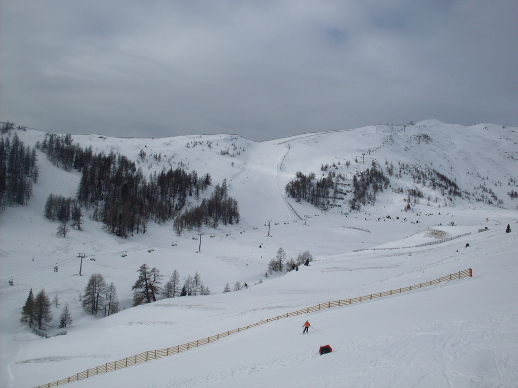 SDC13454.JPG
