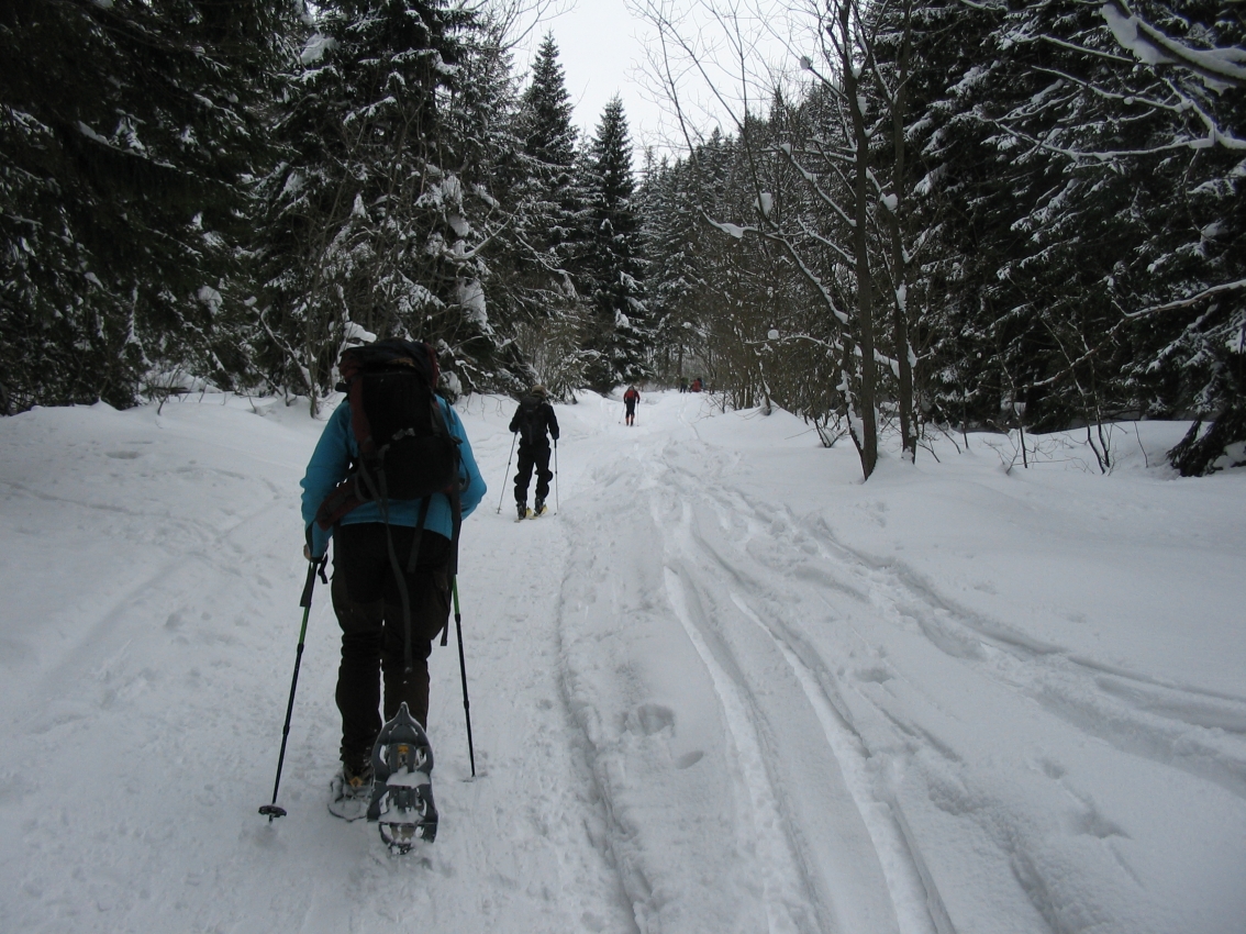 Az első km még lankás, gyönyörű fenyves tájakon