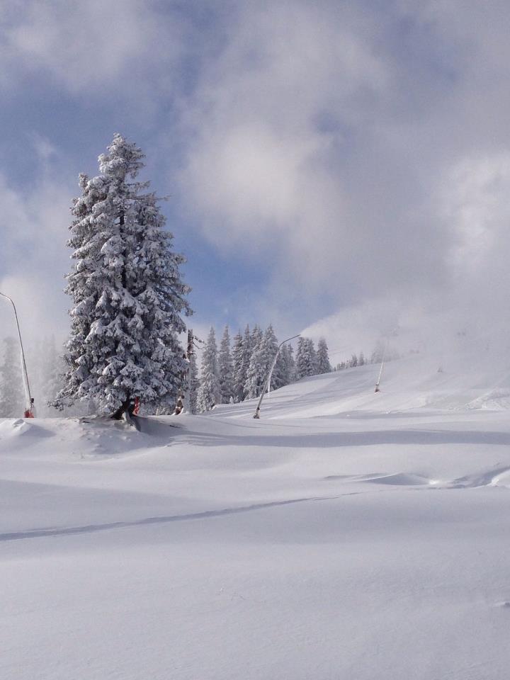 Zell am See is készül