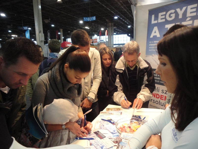 ho-show-2011-045.JPG