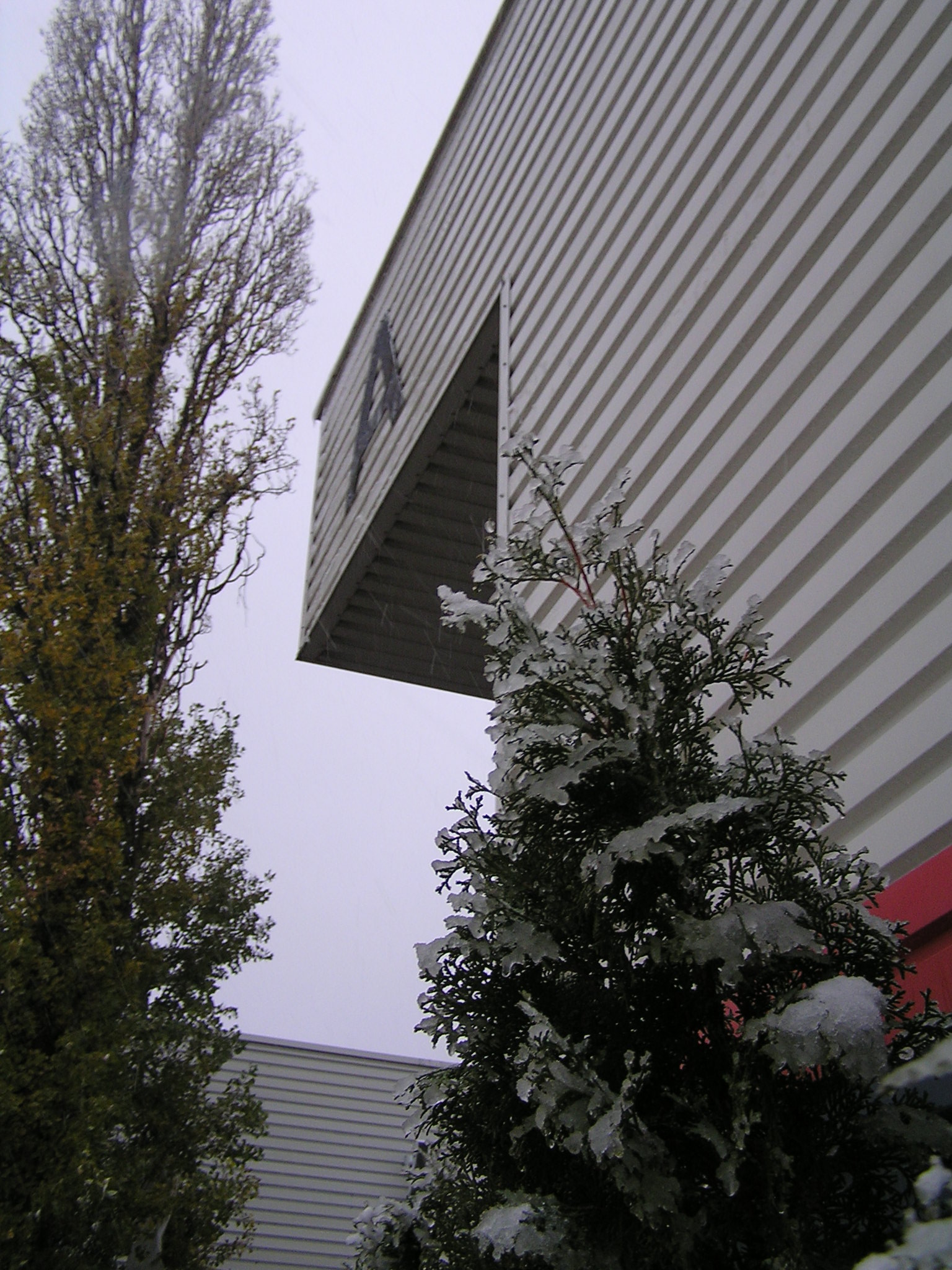 hoshow_2007_84.JPG