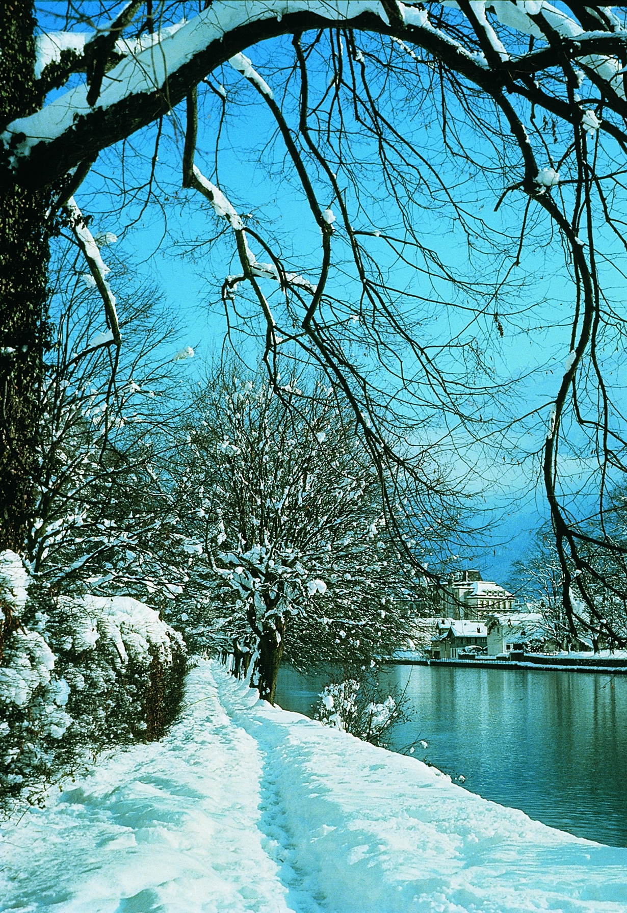 Az Aare folyó partján