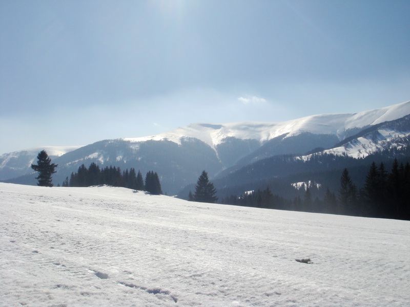 Tányéros felvonós kék pálya