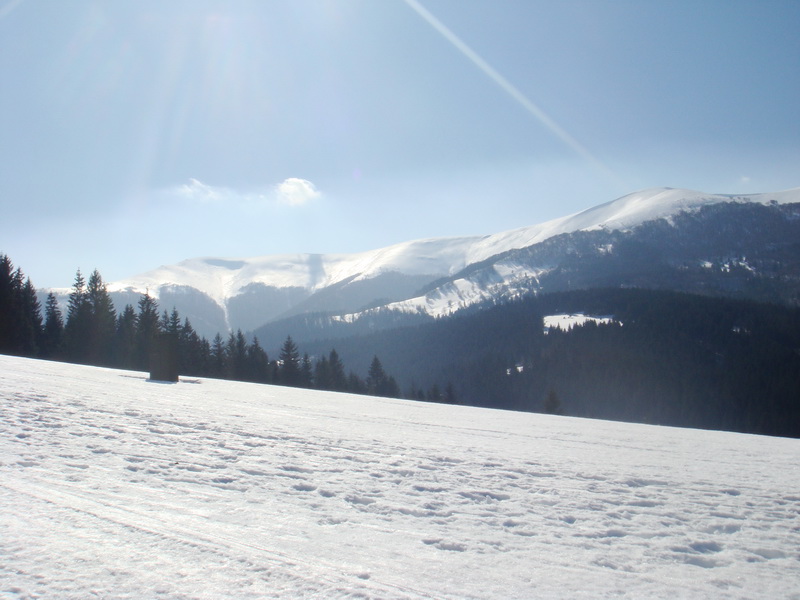 Tányéros felvonós kék pálya pata nyomokkal