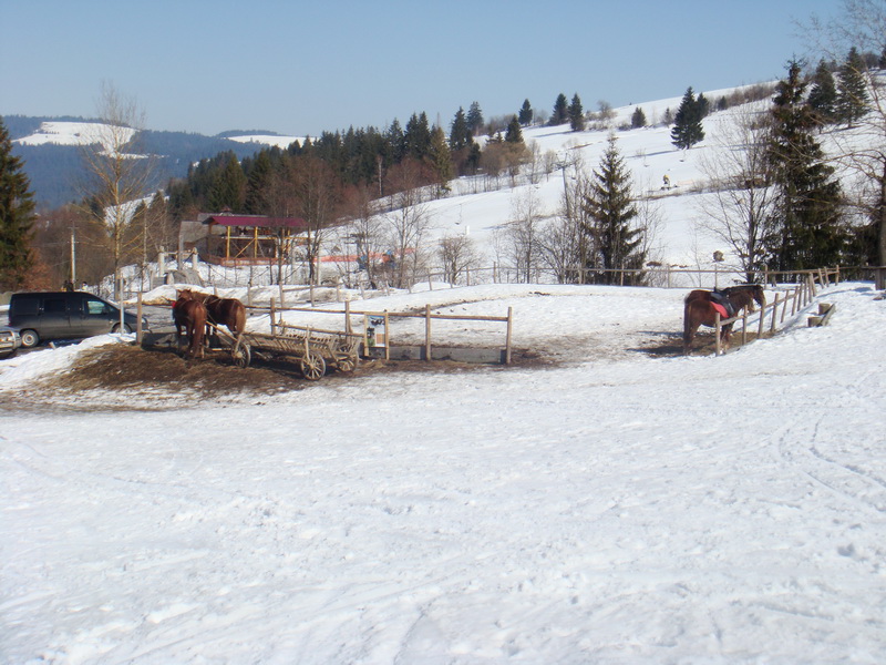 Parkoló és lovarda