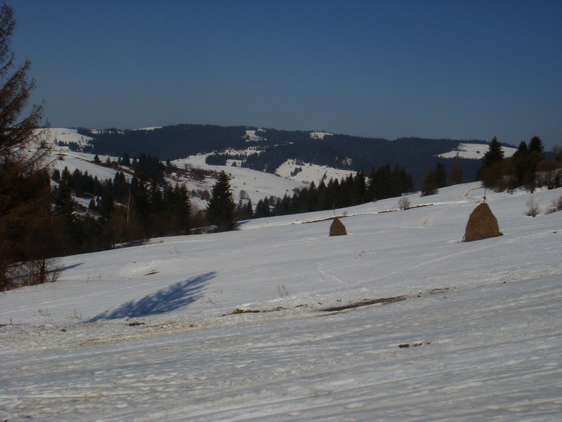 Szénaboglyák a hóban