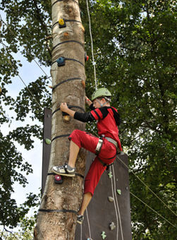 Mászófa a Sobri Jóska Bakonyi Kalandparkban