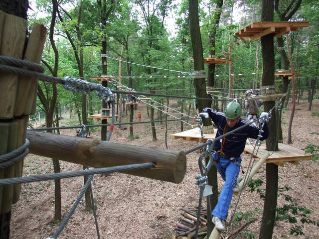 Erdei kötélpálya a Holdfény Ligetben
