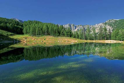 Petzen  | Fotó: Zupanc