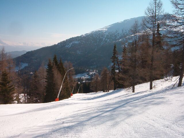 Lärchenabfahrt; bájos kis pálya a fenyőfák között