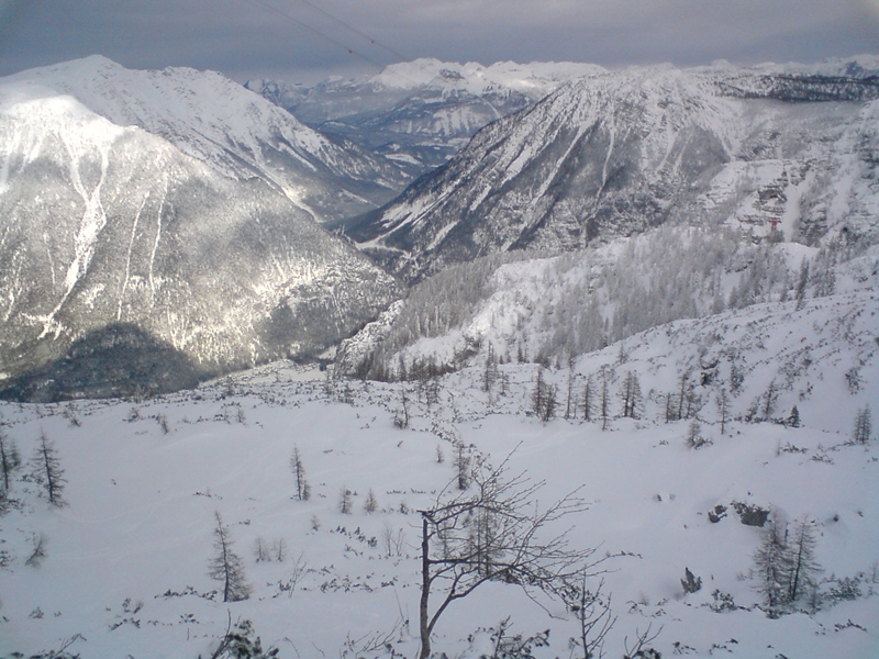 Line 4: A törpefenyves széle (2010.12.17)