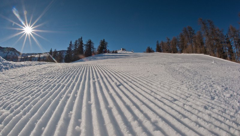 Photo: Harald Wisthaler