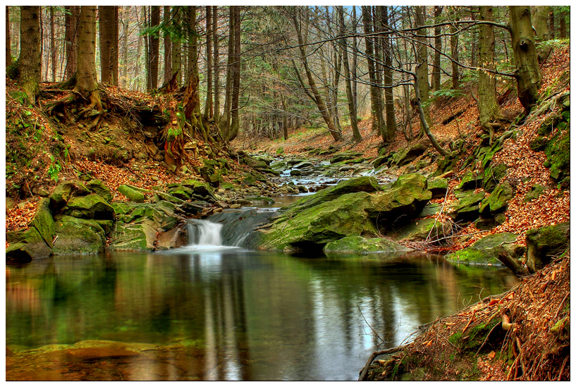 Magurski Nemzeti Park