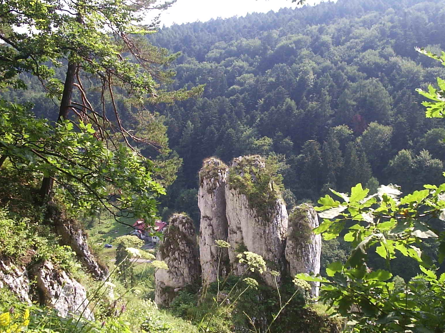 Ojcowski Nemzeti Park