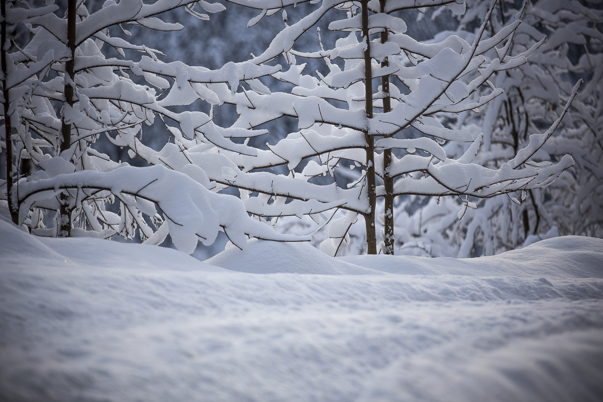 Télies hangulat - Fotó: skywarn