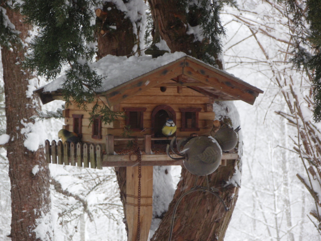 Jön már a tavasz? Március van!