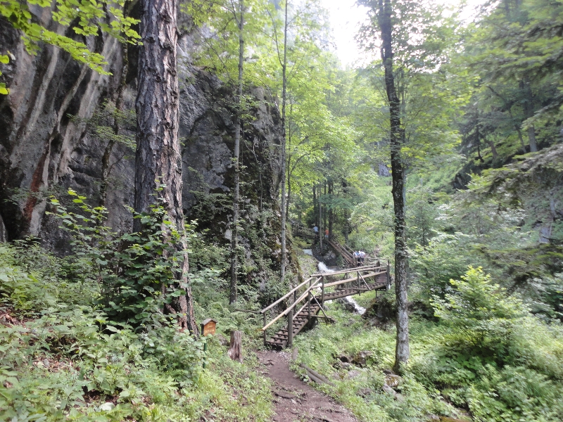 medve-szurdok-002.JPG
