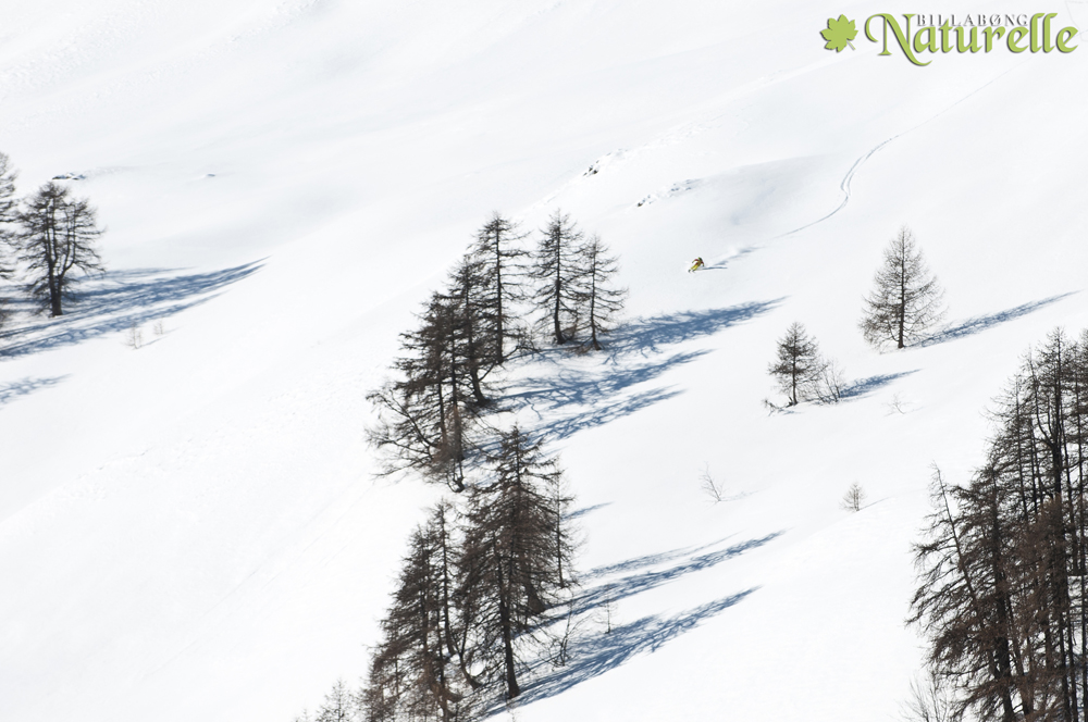 Fotó: Vaskó Gábor
