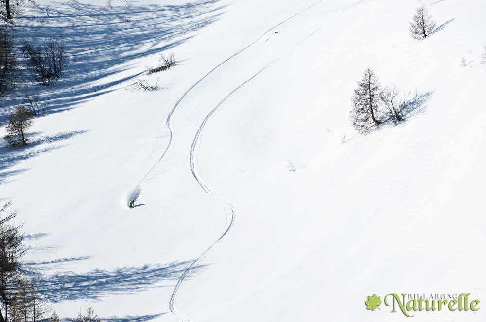 Fotó: Vaskó Gábor