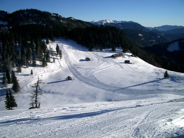 Niederalp001.jpg