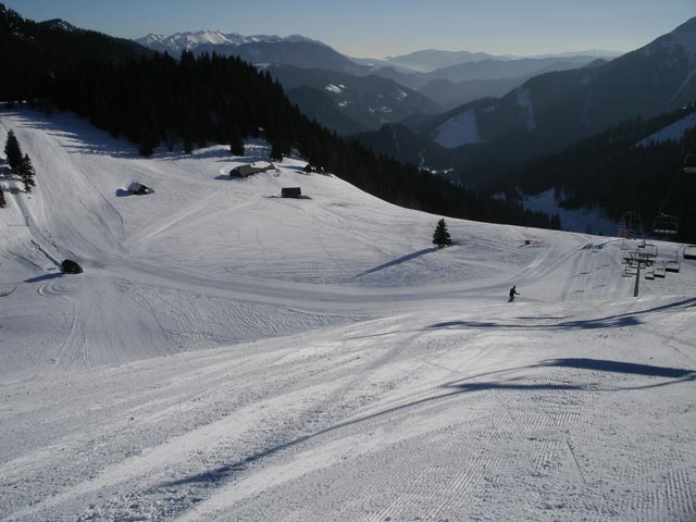 Niederalp010.jpg