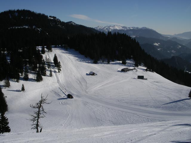 Niederalp011.jpg