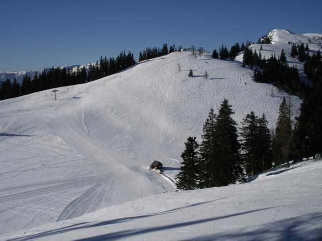 Niederalp012.jpg