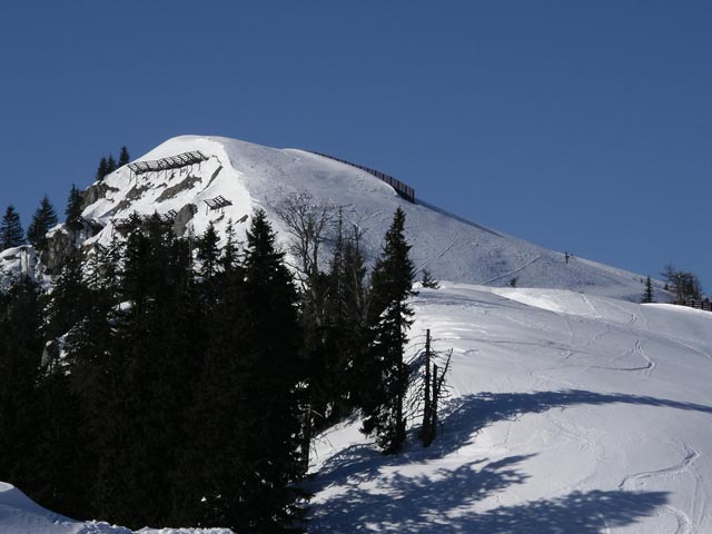 Niederalp017.jpg