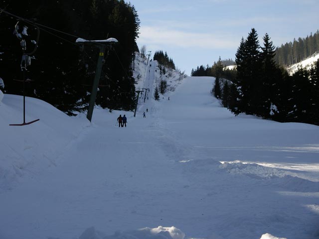 Niederalp018.jpg