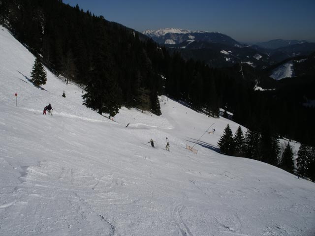 Niederalp020.jpg