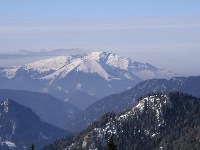 Niederalp021.jpg