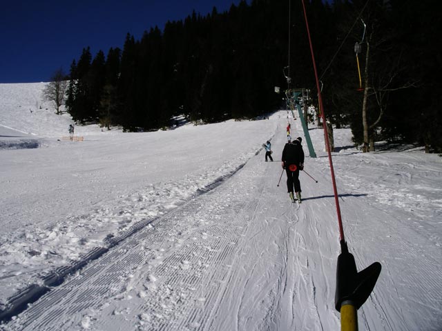Niederalp023.jpg