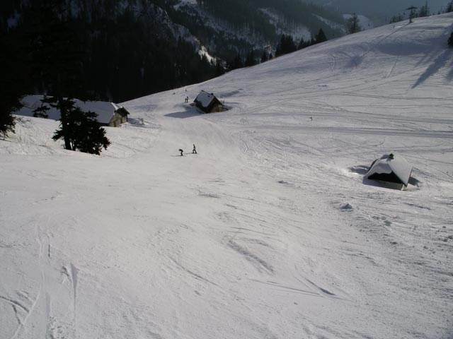 Niederalp025.jpg