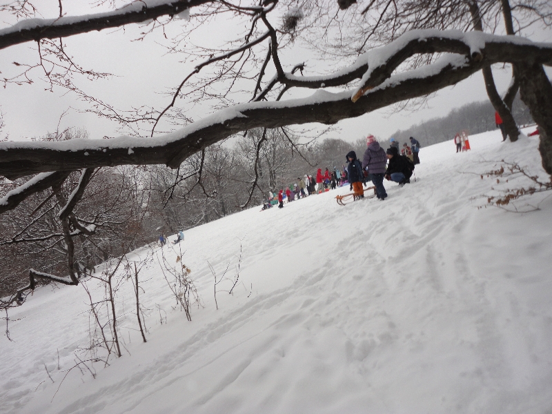 Szánkózó gyerekek a Nomafán - 2013. február 10. vasárnap délelőtt