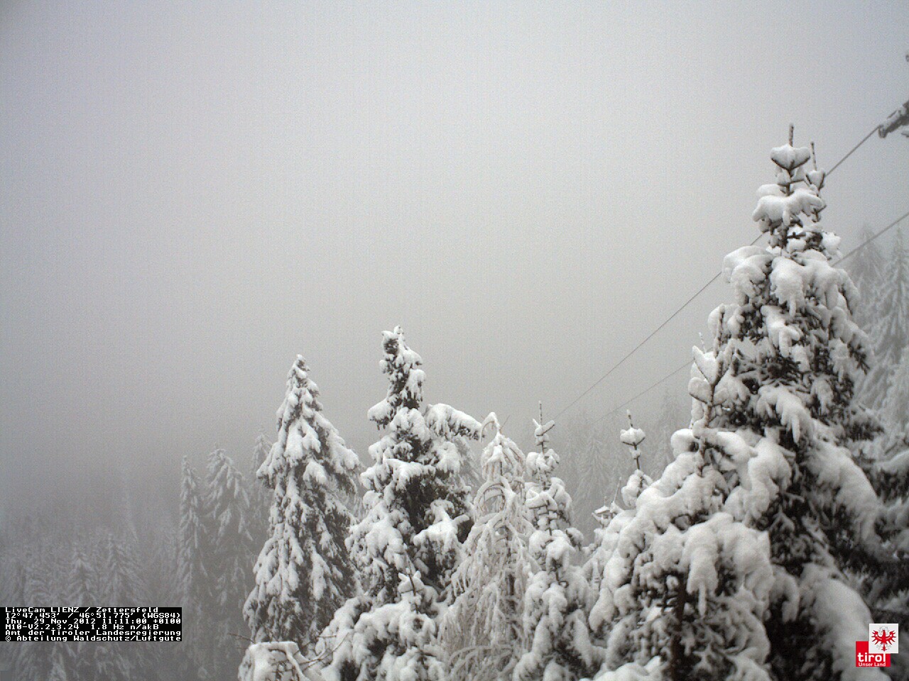 Kelet-Tirolban roskadoznak a fenyőfék