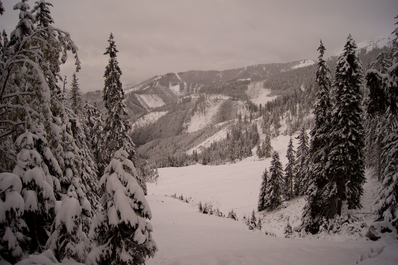 Stájer meseerdő - Fotó: gipfeltreffen