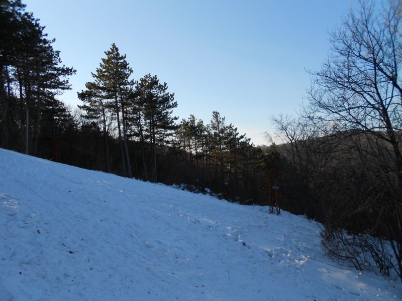 dscn1032.jpg