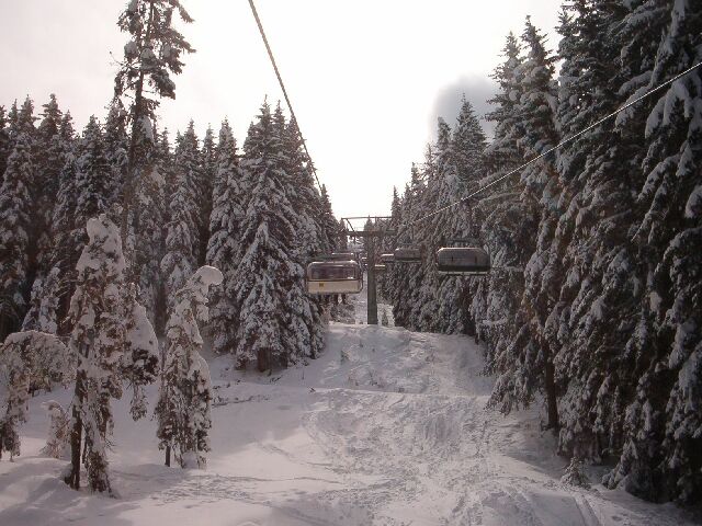 Meseszerűen behavazott fenyőfák között vezet a Lärchkogelbahn útja