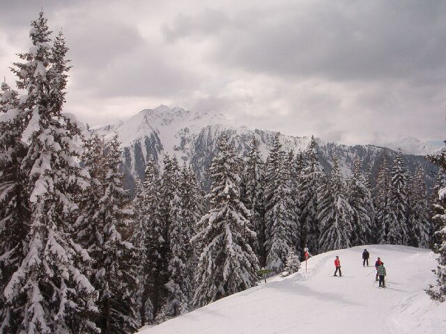 A Weitmoosabfahrt környékén