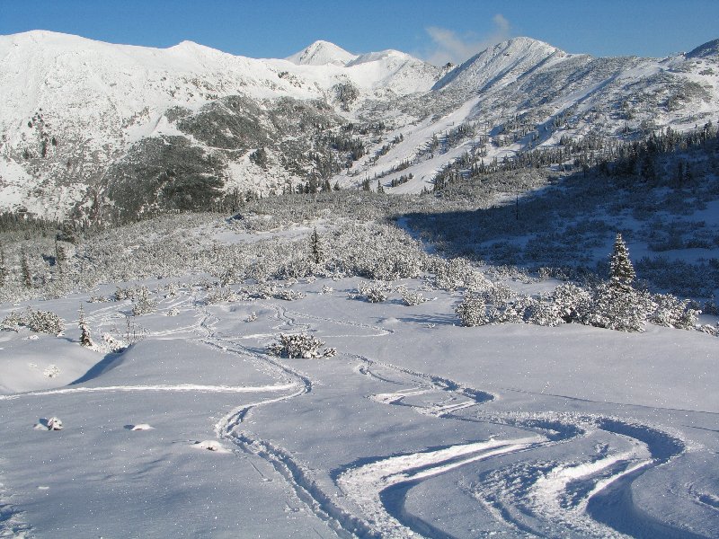 Nyomvonalaink Planneralmon