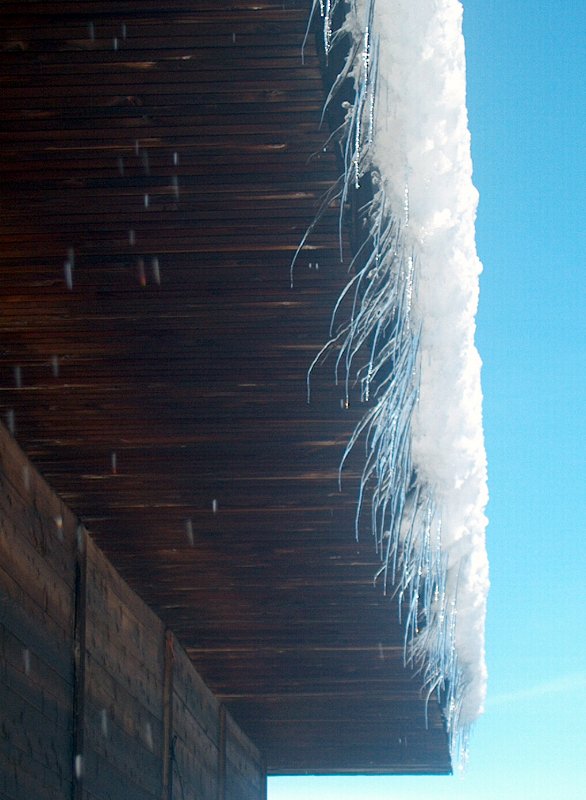 A természet "kócolása"