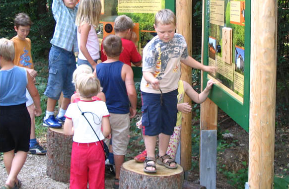Tanösvény a Thayatal Nemzeti Parkban