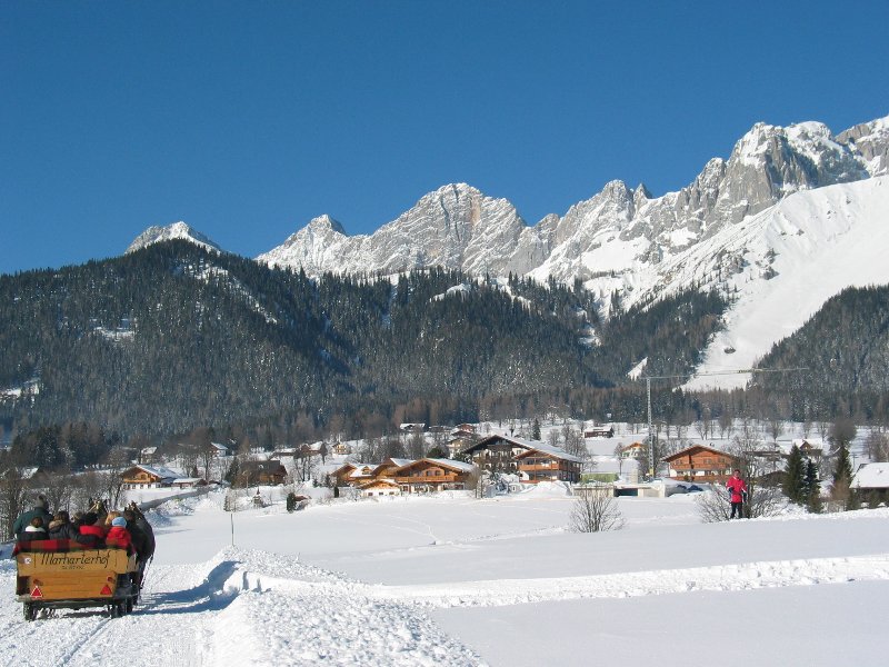 Ramsau am Dachstein - lovasszán | Fotó: ramsau.com