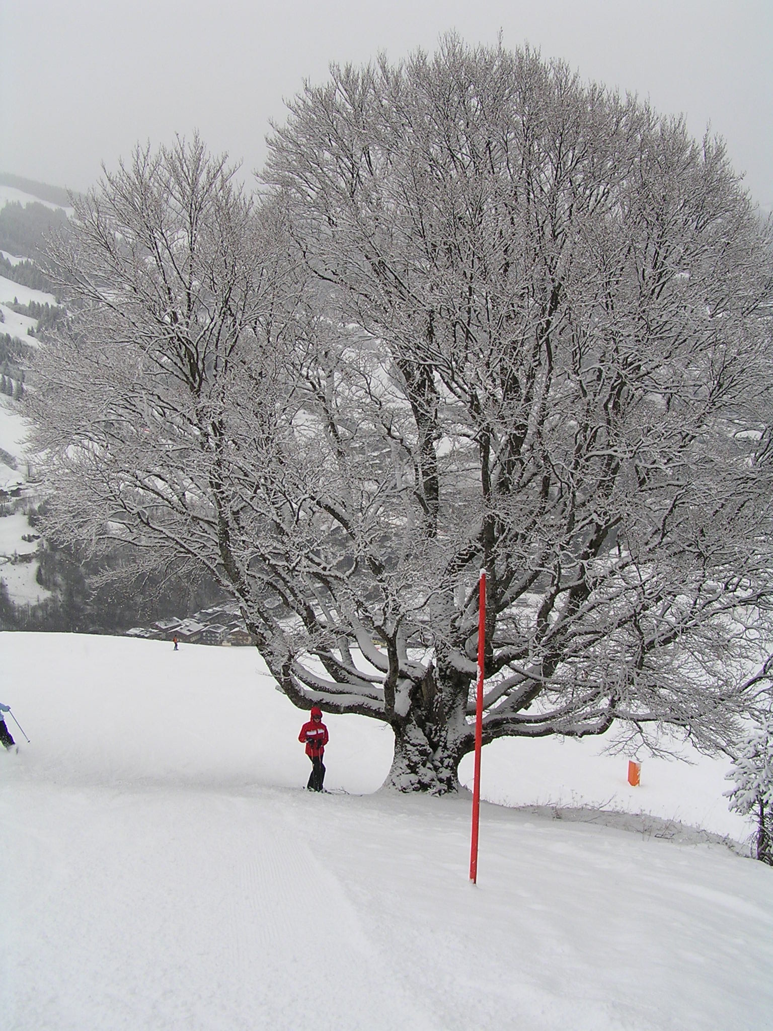 A Zwölferkogel-bahn pályája