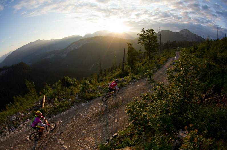 Minden évben 40 nemzet több mint 5000 versenyzője vesz részt a megmérettetésen