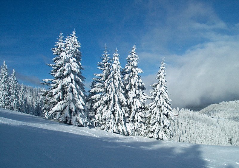 Friss havazás után