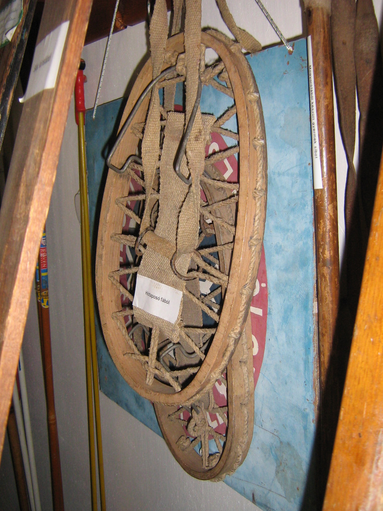 IMG-0831.JPG