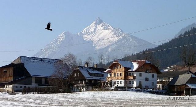 A kábelek minden jó képet elrontanak. Még ezt a madarasat is. :o(