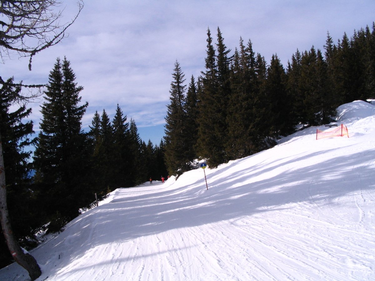 schladming-planai-032.jpg