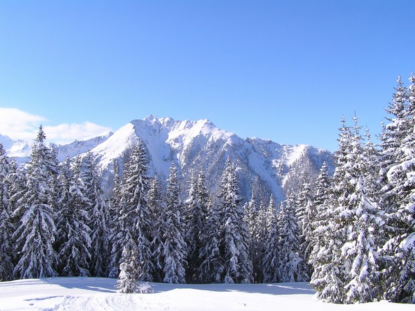 Sípálya a Larchkogel Alm-nál